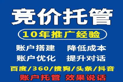 网络推广中的竞价广告：成功案例解析
